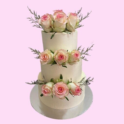 83221_Yummylicious Chocolate cake