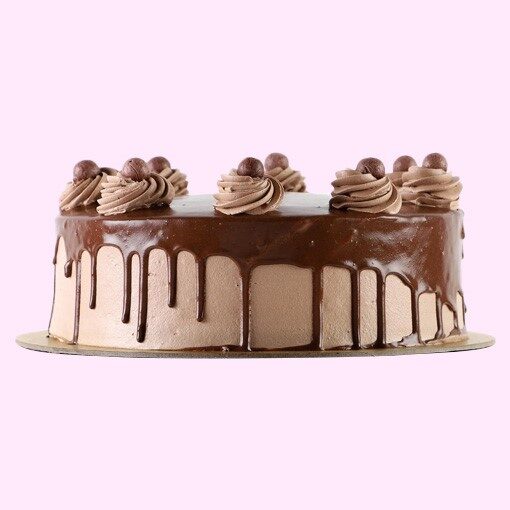 83221_Yummylicious Chocolate cake