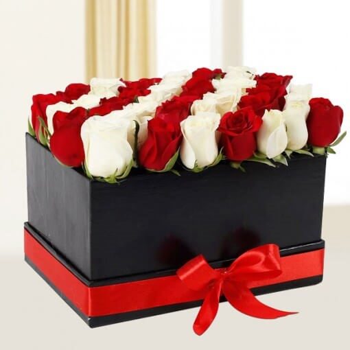 83221_Yummylicious Chocolate cake